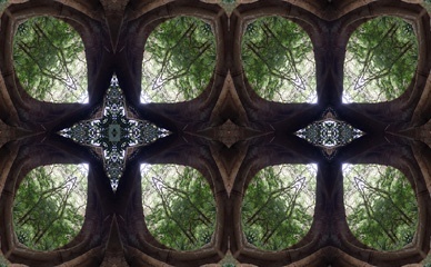 P1181563Kal16c.jpg